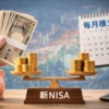 新NISA 一括 積立 バランス